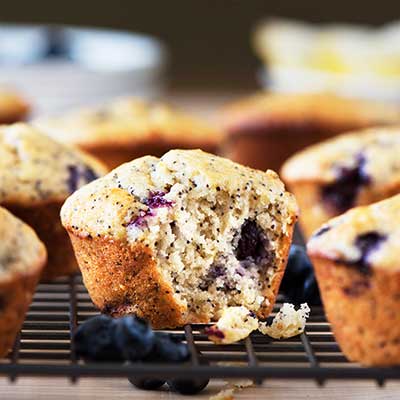 Blueberry Lemon Poppy Seed Muffin