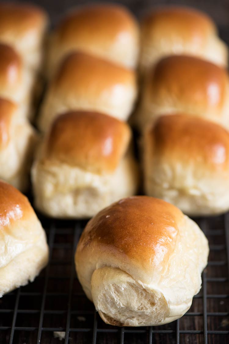 Hokkaido Milk Rolls - This will be the last dinner rolls recipe you'll ever need. Amazingly soft, light & fluffy. I guarantee.