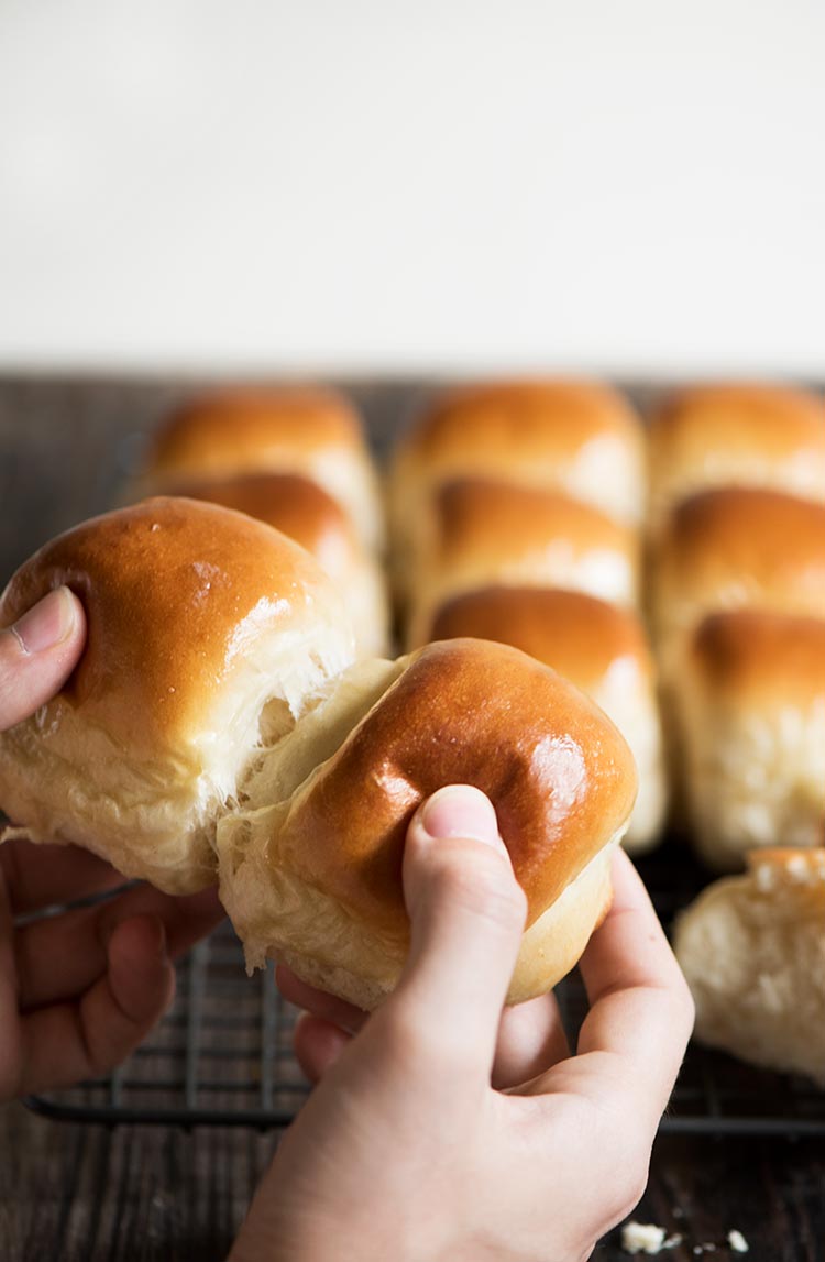 Hokkaido Milk Rolls - This will be the last dinner rolls recipe you'll ever need. Amazingly soft, light & fluffy. I guarantee.